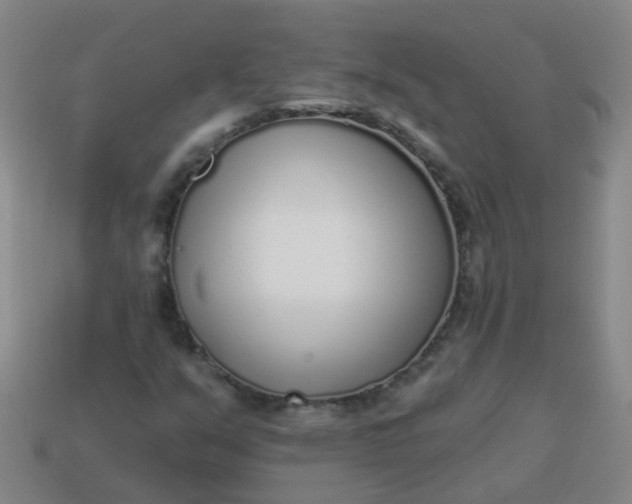 X0000114131351200910221456