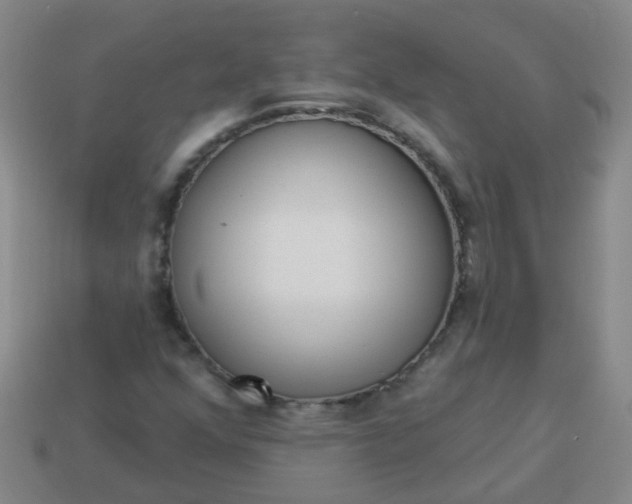 X0000114131352200910221456