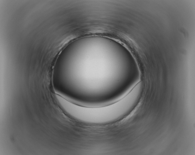 X0000114131353200910221456