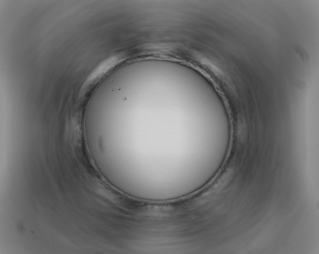 X0000114131354200910221456