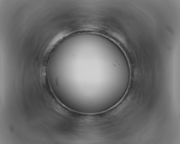 X0000114131355200910221456