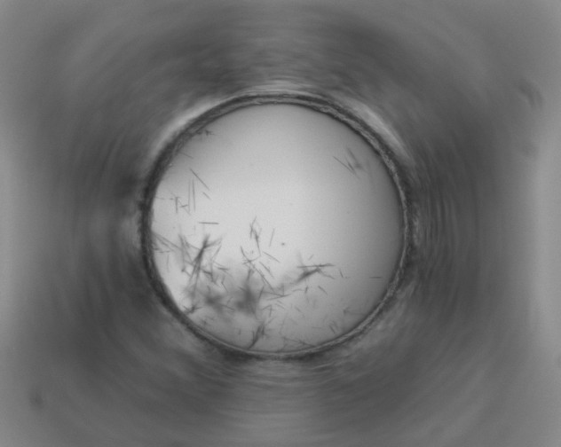 X0000114131356200910221456