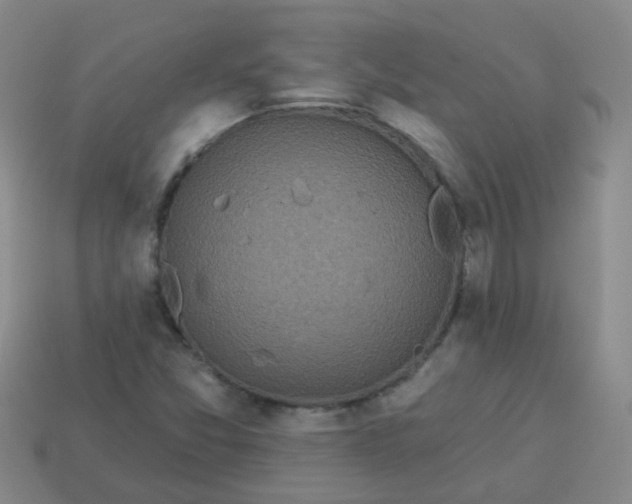 X0000114131357200910221456