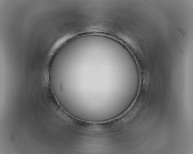 X0000114131358200910221456