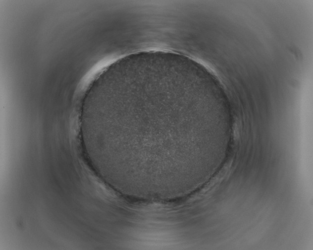 X0000114131359200910221456