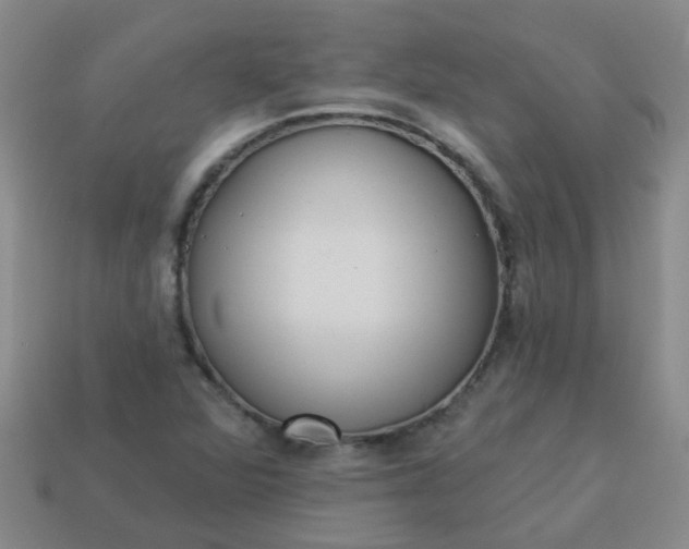 X0000114131360200910221456