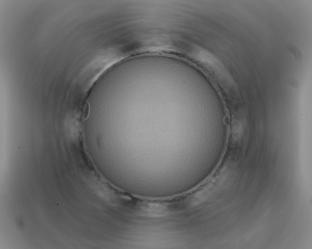 X0000114131361200910221456