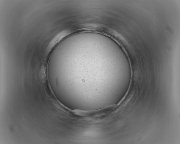 X0000114131362200910221456