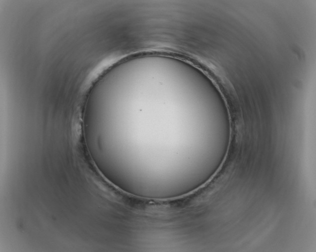 X0000114131363200910221456