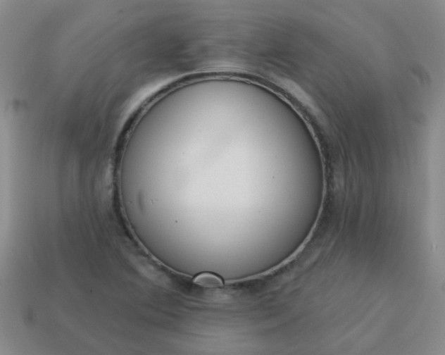 X0000114131364200910221456