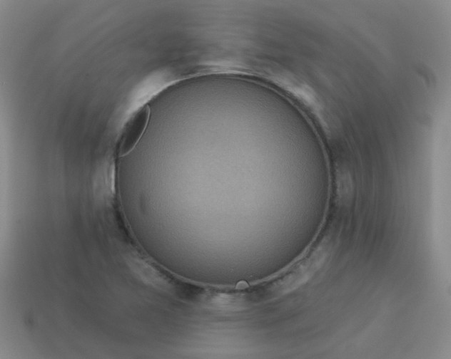 X0000114131365200910221456