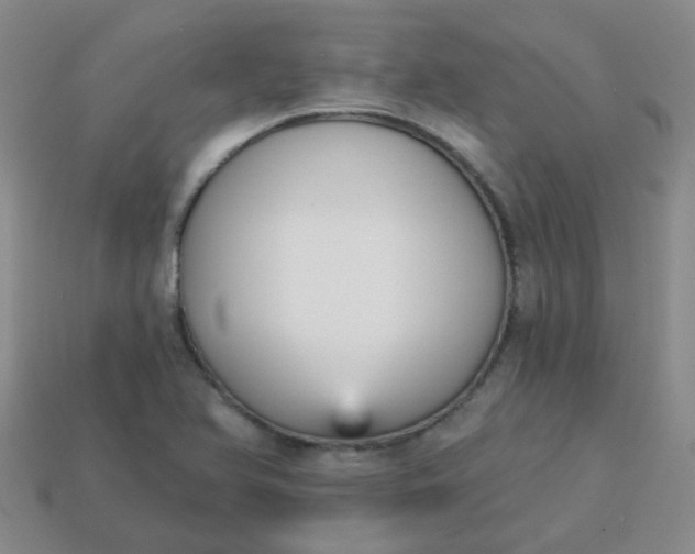 X0000114131366200910221456