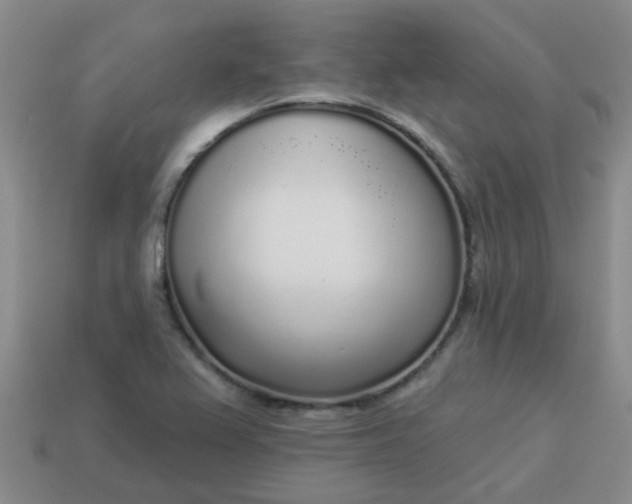 X0000114131367200910221456