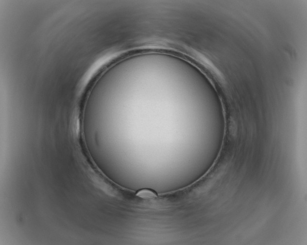 X0000114131368200910221455