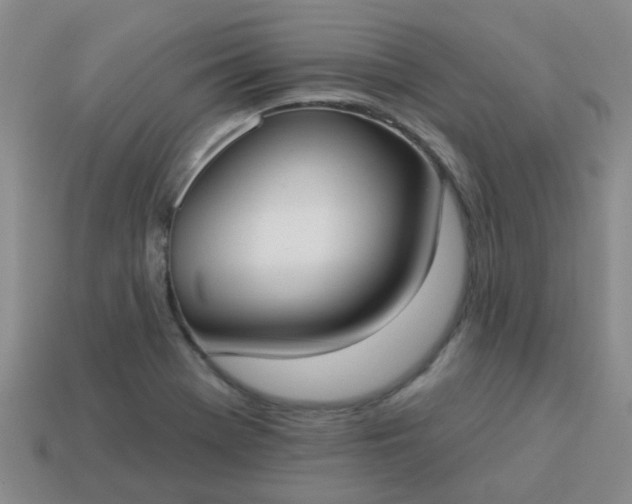 X0000114131369200910221455