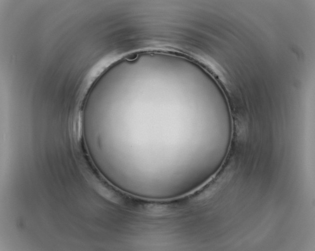 X0000114131371200910221455