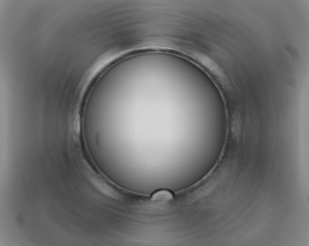 X0000114131372200910221455