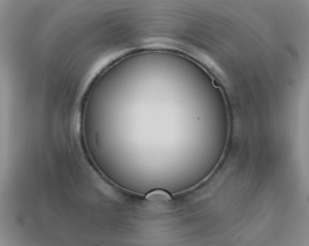 X0000114131376200910221455