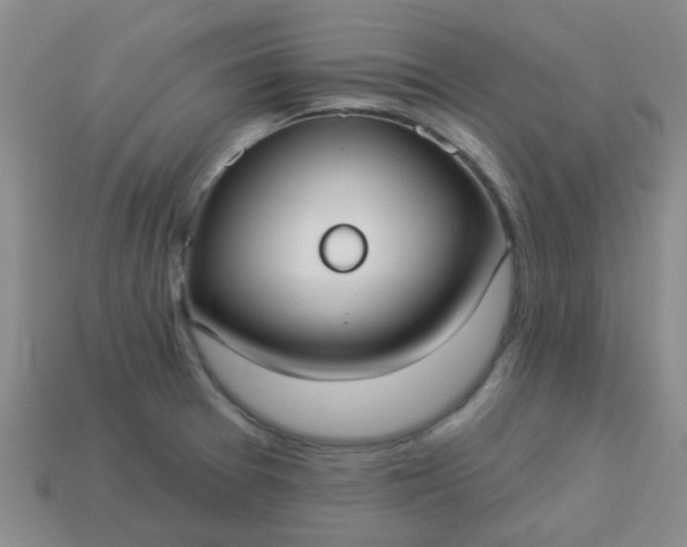 X0000114131377200910221455