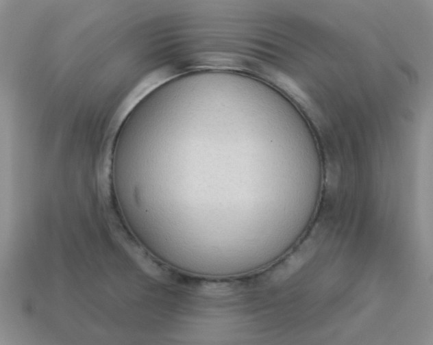 X0000114131378200910221455