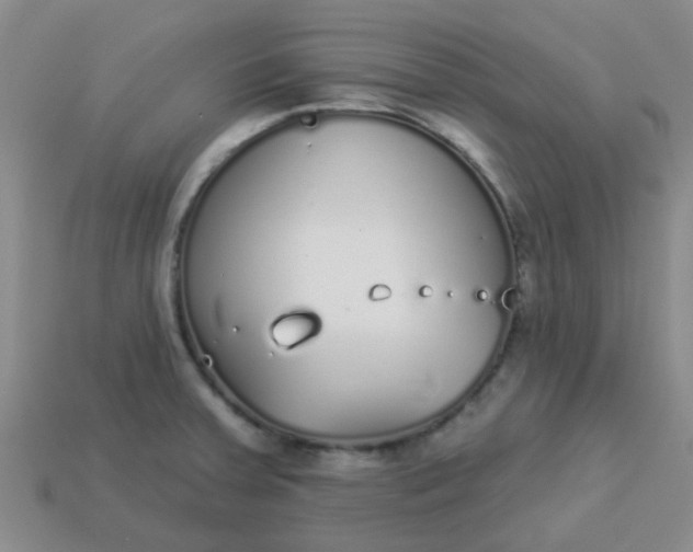 X0000114131379200910221455