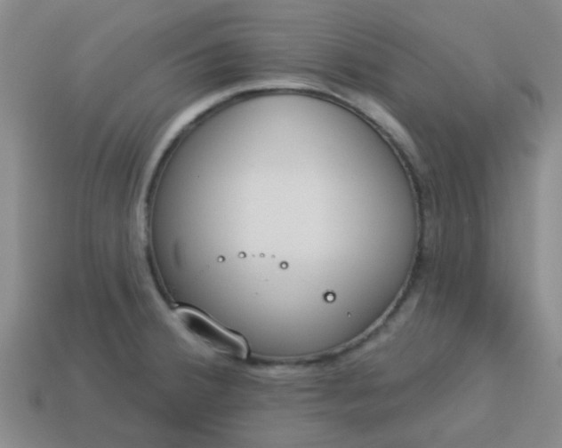 X0000114131380200910221455