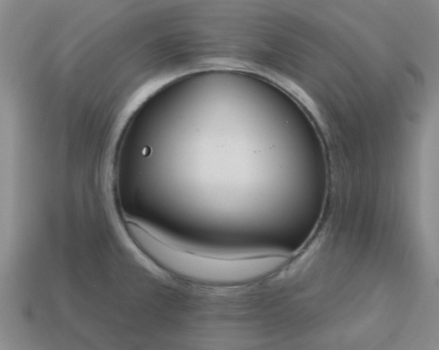 X0000114131381200910221455