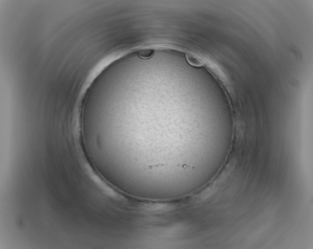 X0000114131382200910221455