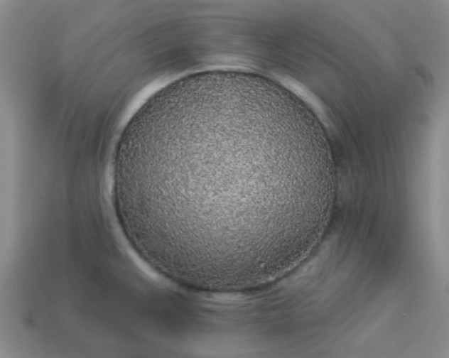 X0000114131383200910221455