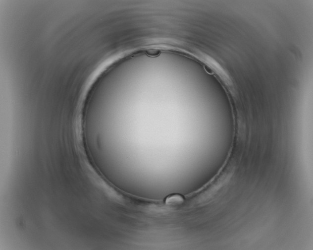 X0000114131384200910221455