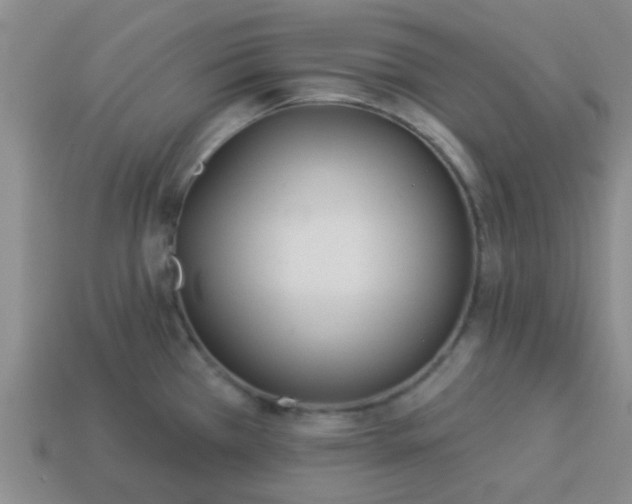 X0000114131385200910221455