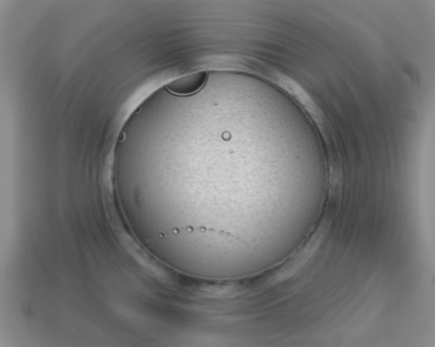 X0000114131386200910221455