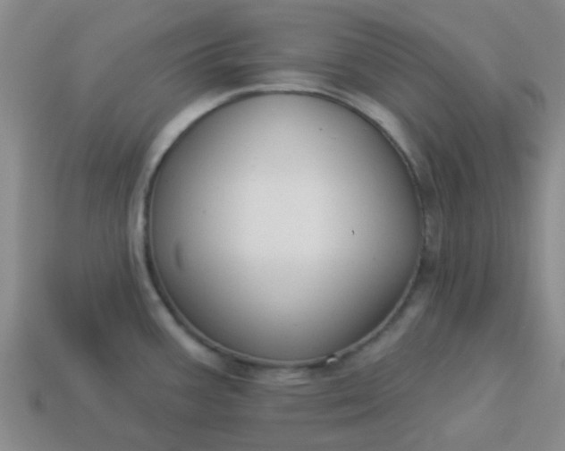 X0000114131387200910221455