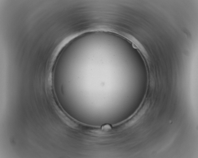 X0000114131388200910221455