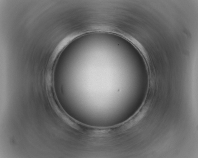 X0000114131389200910221455