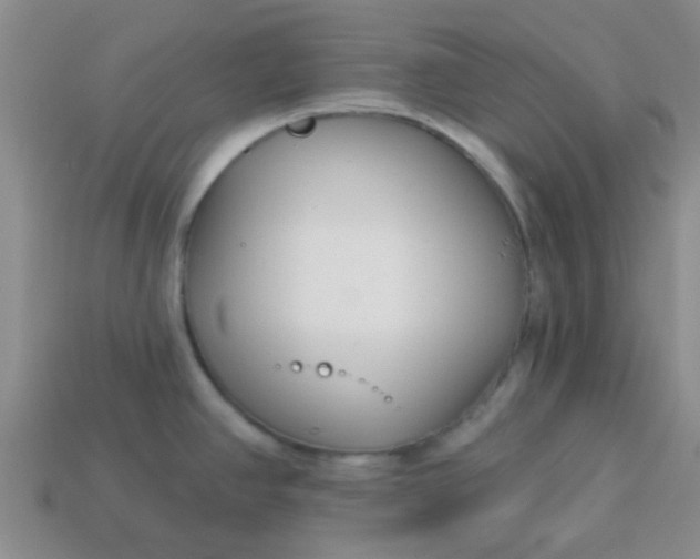 X0000114131390200910221455