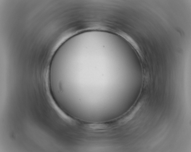 X0000114131391200910221455