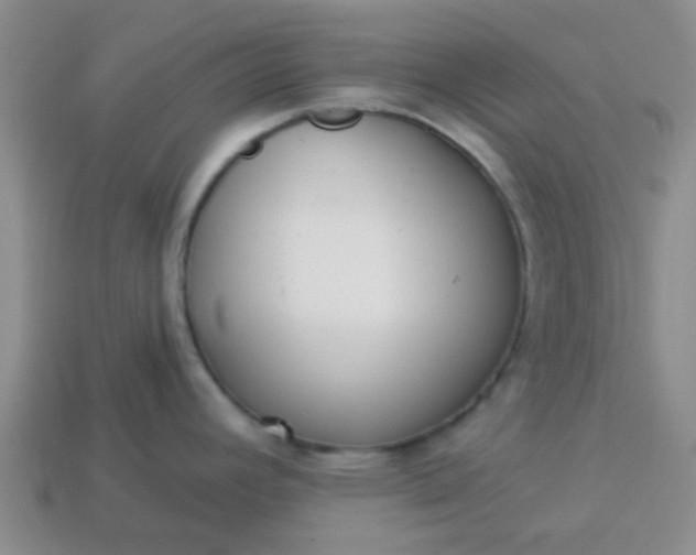 X0000114131392200910221455