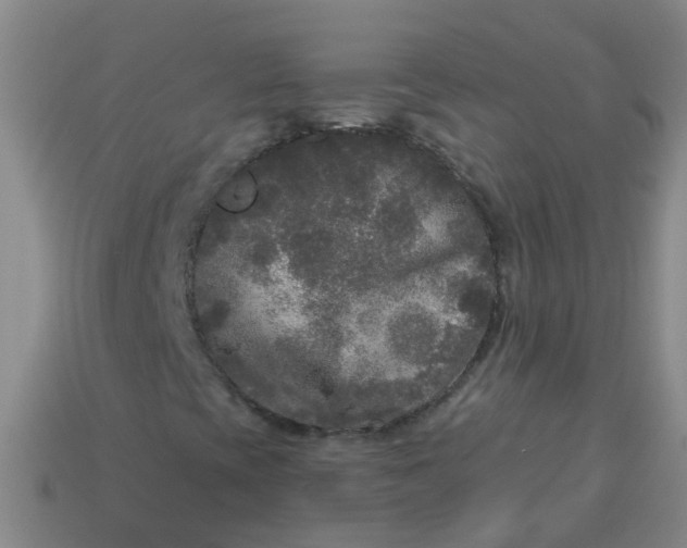 X0000114131393200910221454