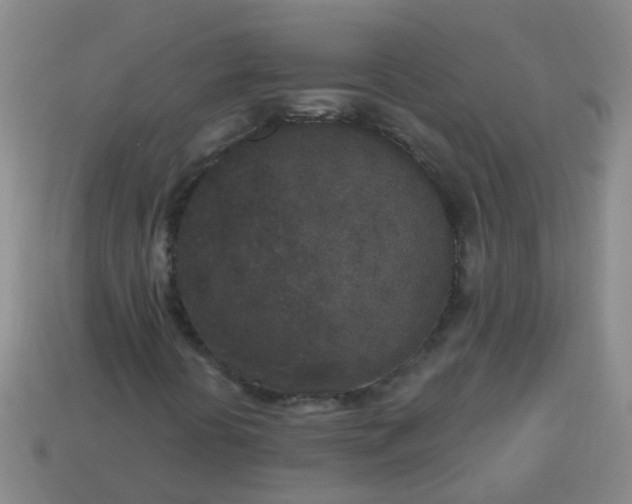 X0000114131394200910221454