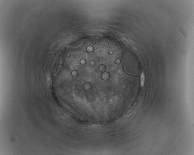 X0000114131395200910221454