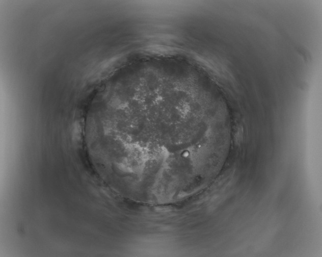 X0000114131397200910221454