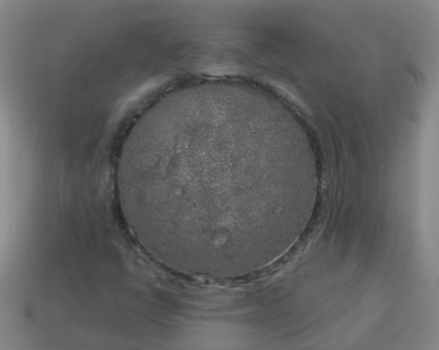 X0000114131398200910221454