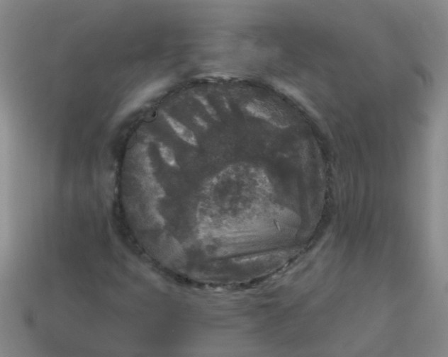 X0000114131399200910221454