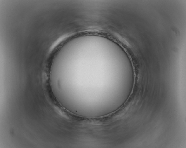 X0000114131400200910221454