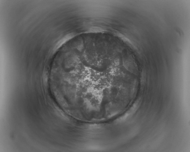 X0000114131401200910221454