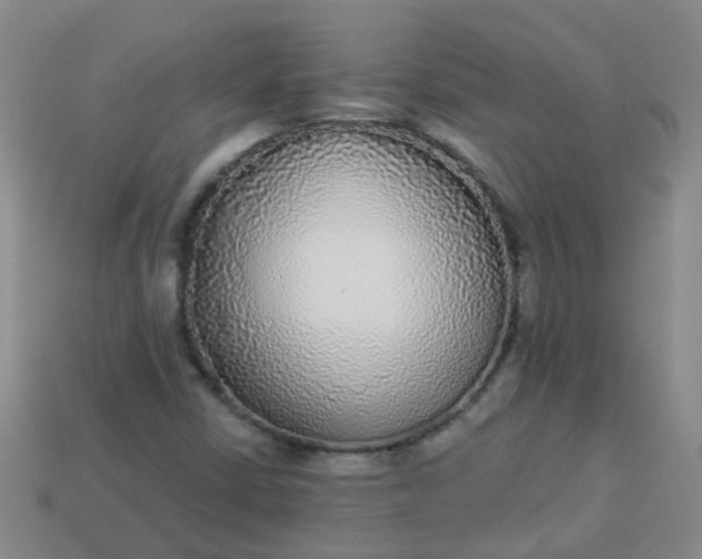 X0000114131402200910221454