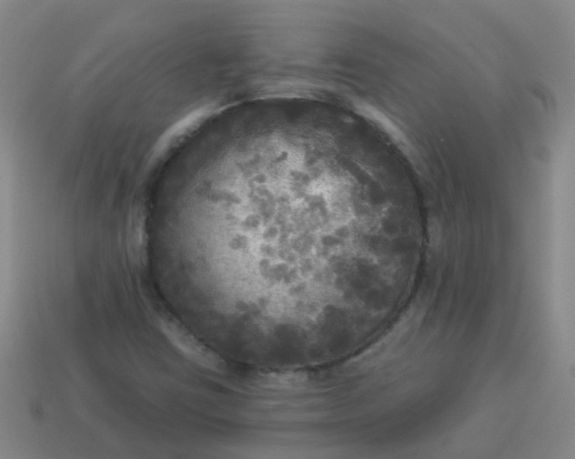 X0000114131403200910221454