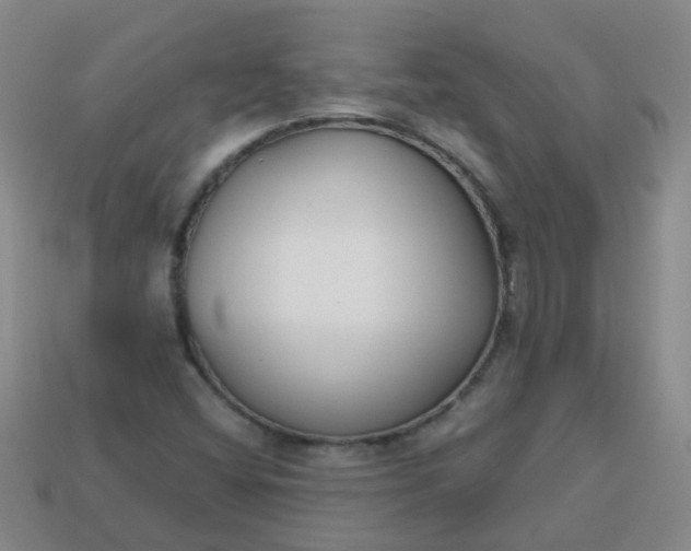 X0000114131404200910221454