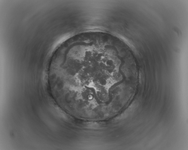 X0000114131405200910221454